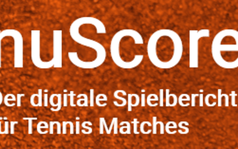 Digitaler Spielbericht: FAQ & Handbücher
